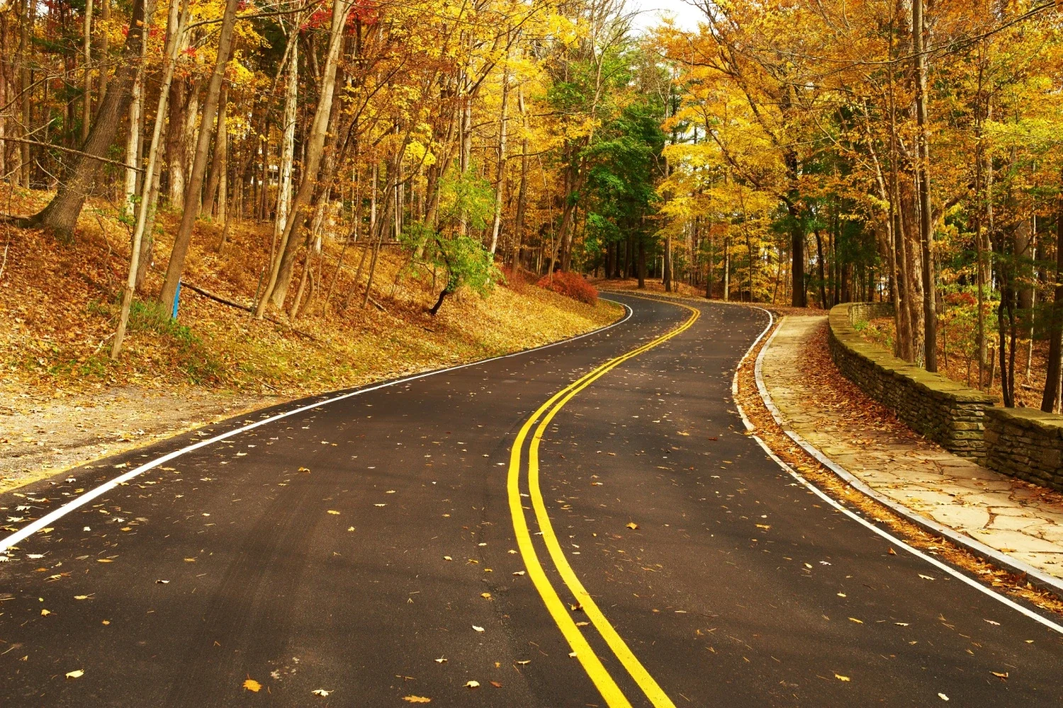 Road in Halfmoon, New York