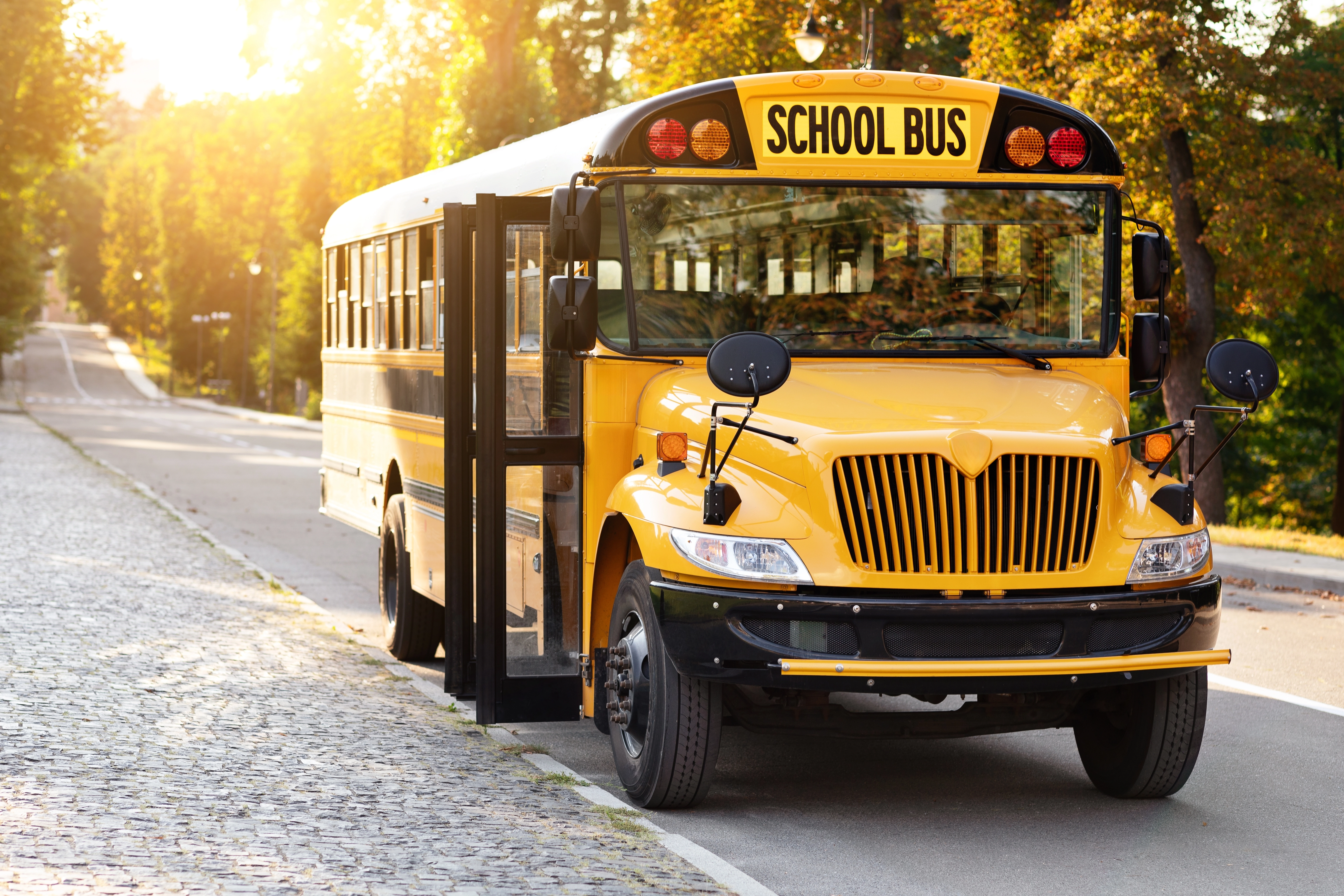 School bus on New York road